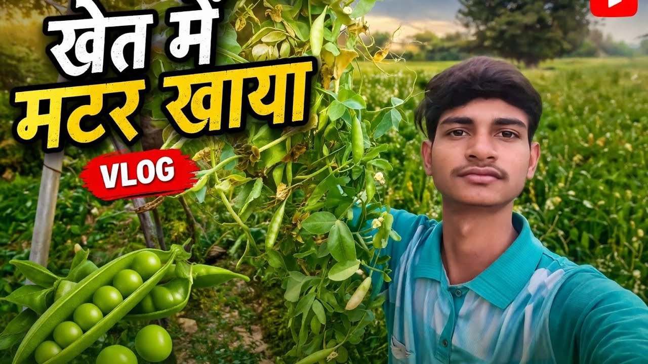 Àaj Khet Khumne Gay😎