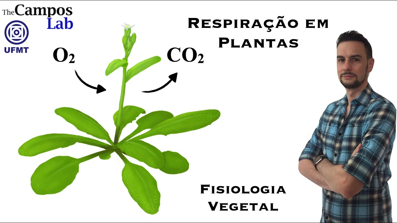 Respiração em Plantas (3/3): Via das Pentose Fosfato