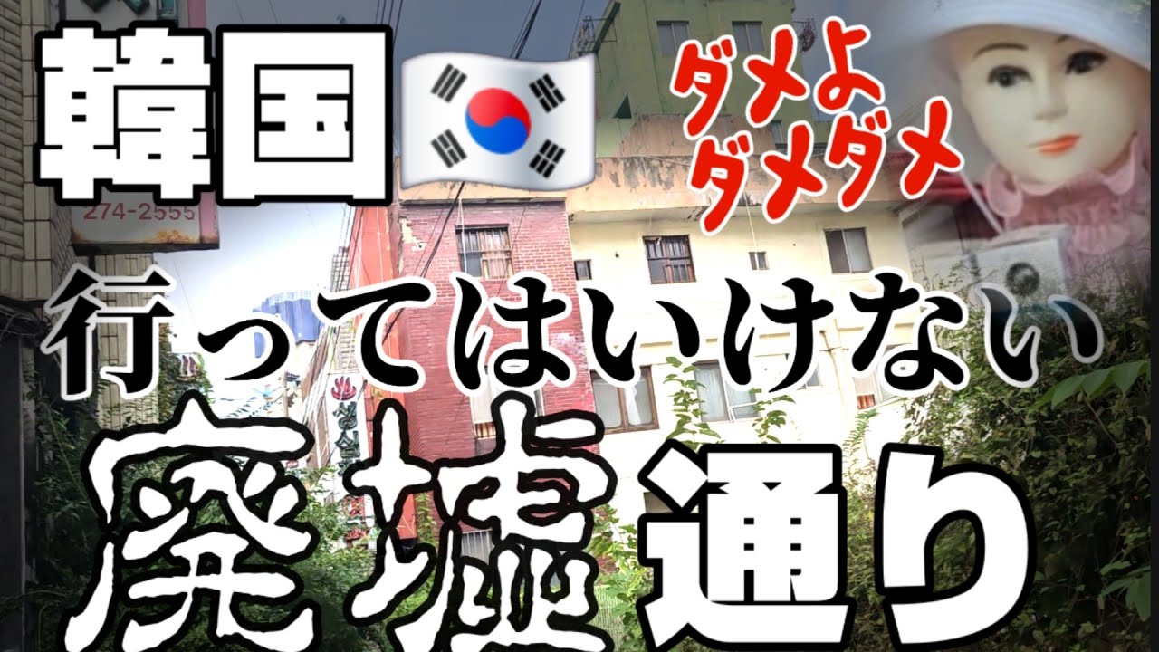 50代が侵入⚠️悲報　秘密のおしゃれエリアに着くまで廃墟の町だった件【韓国旅行】【韓国清州】