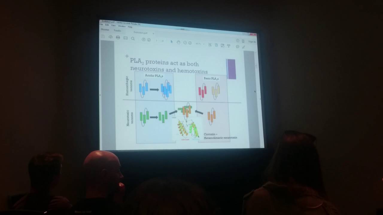 Giorgianni:Snake venom diversity through gene loss