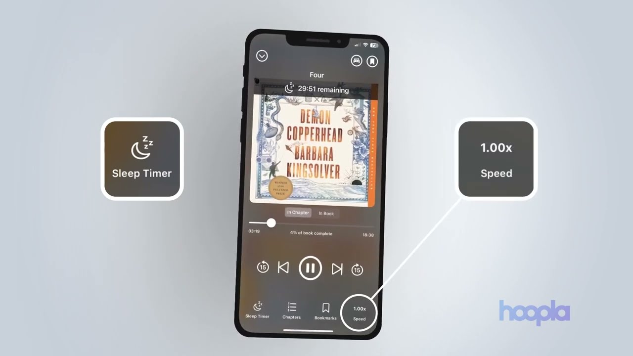 Hoopla App Features