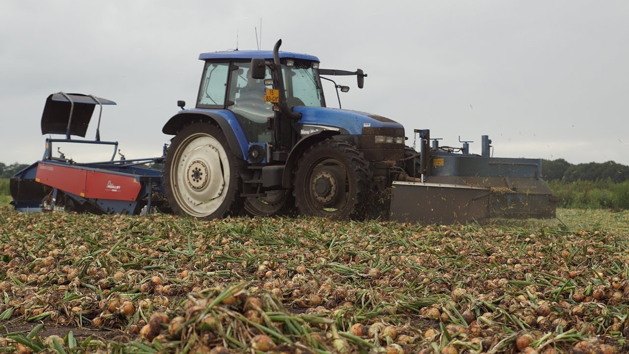 New Holland TM 120 Asa lift onions harvest