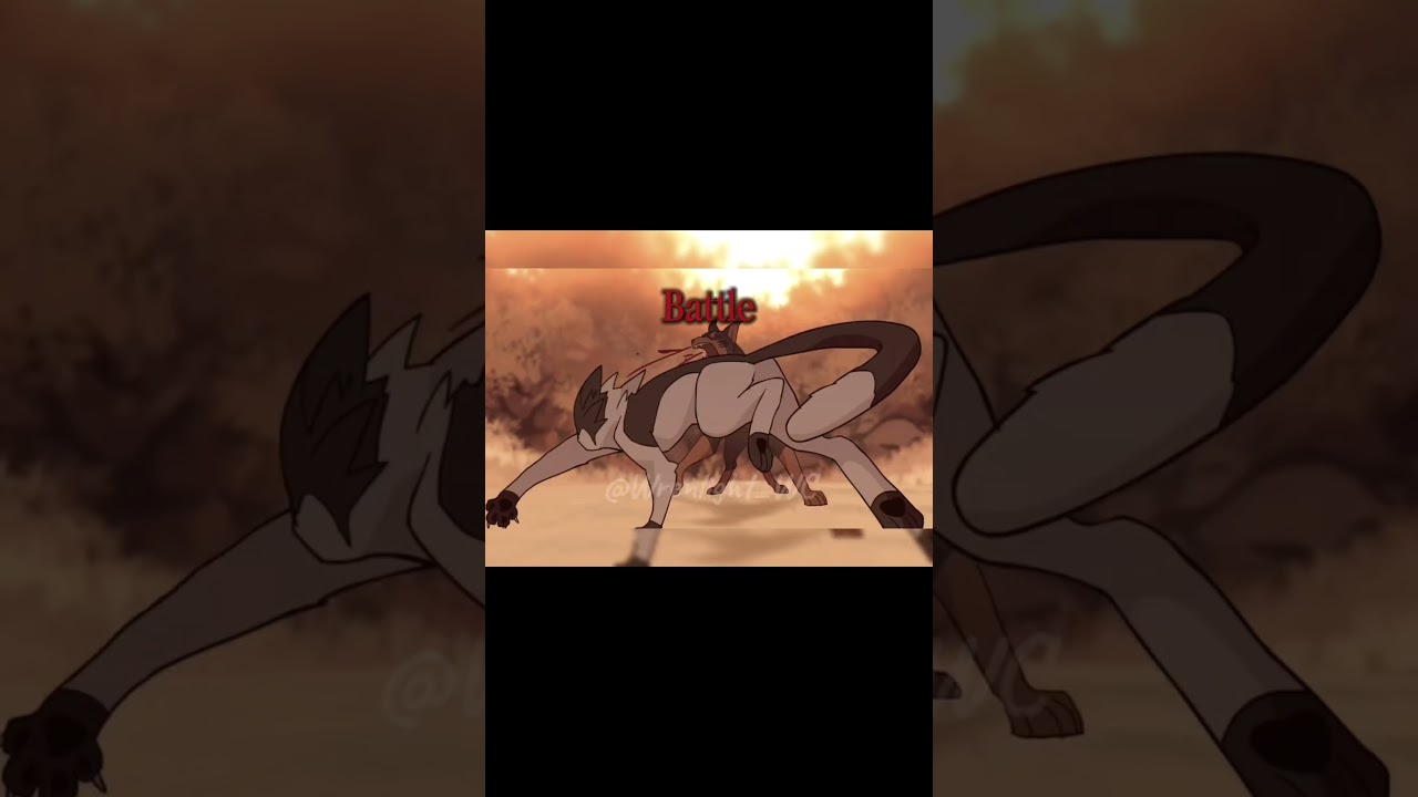 What is warriorcats? warriorcats is...edit// tysm for 400 subs😍!!!! #warriorcats