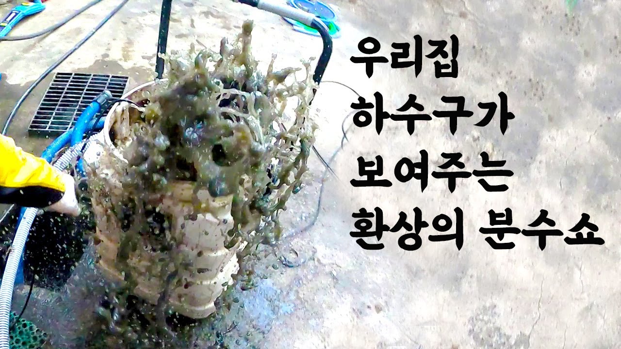 평범한 우리집 하수구가 알고보니 분수 맛집?!!