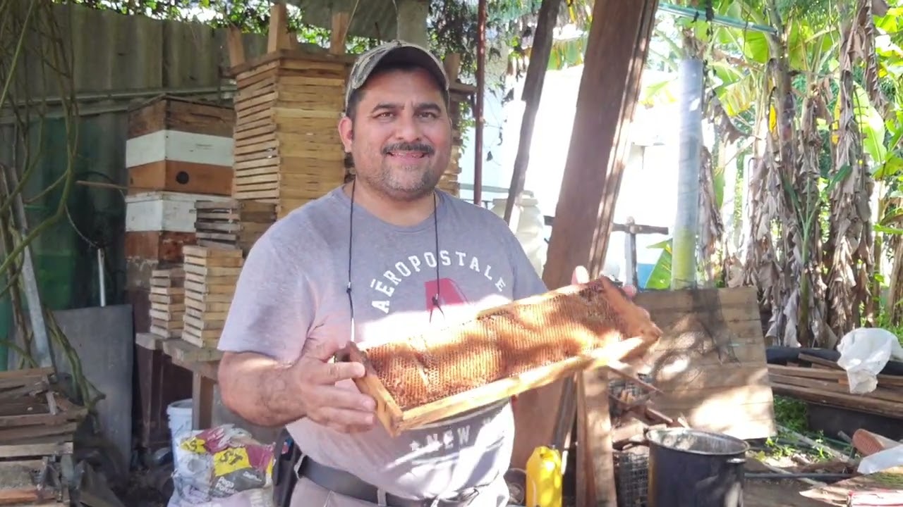 Como quitar de manera facil la cera de los bastidores  de abejas