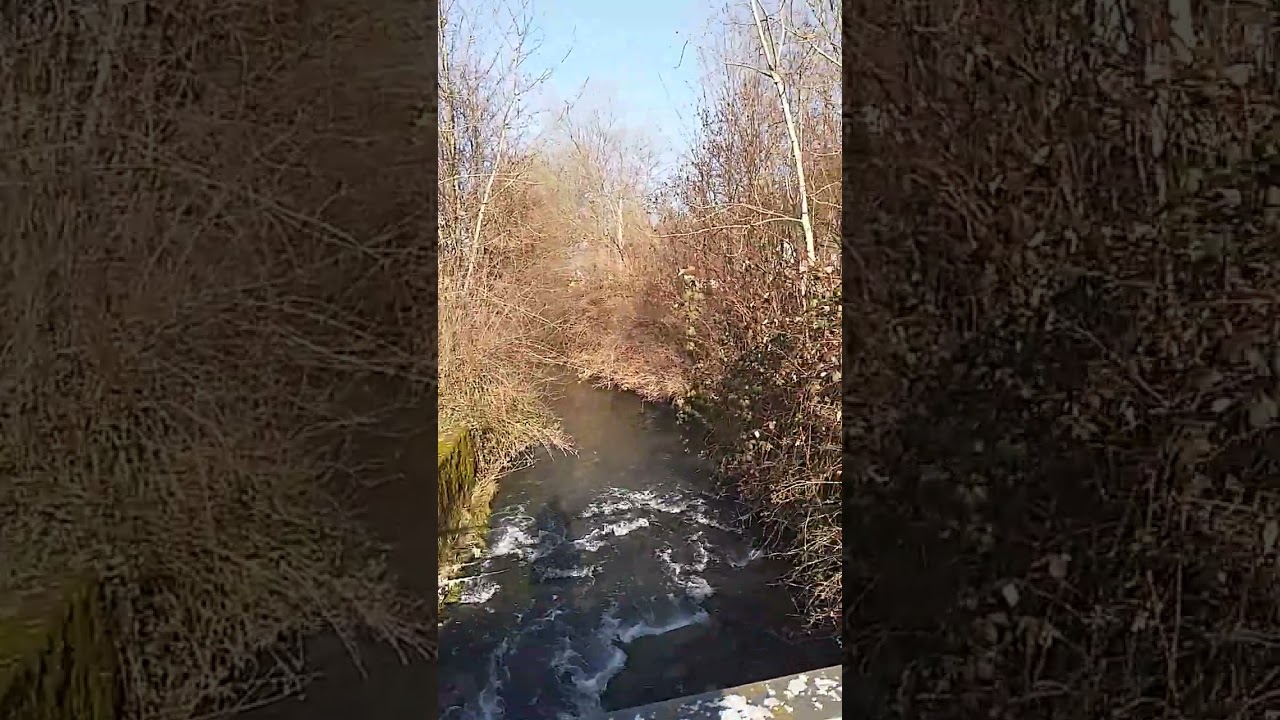 Маленька річка, а риба в ній велика.