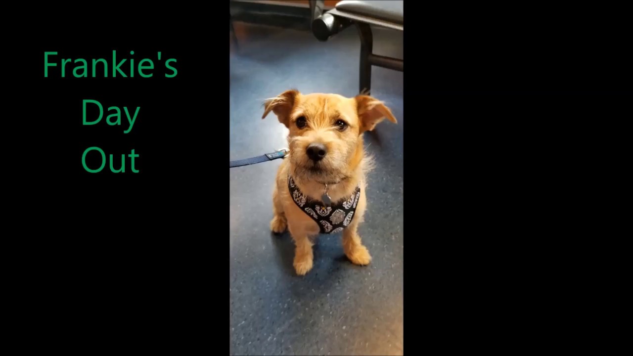 Frankie's Excellent Ebike Event