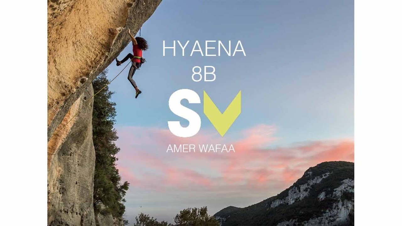 Wafaa Amer su Hyaena 8b | Spazio Verticale130