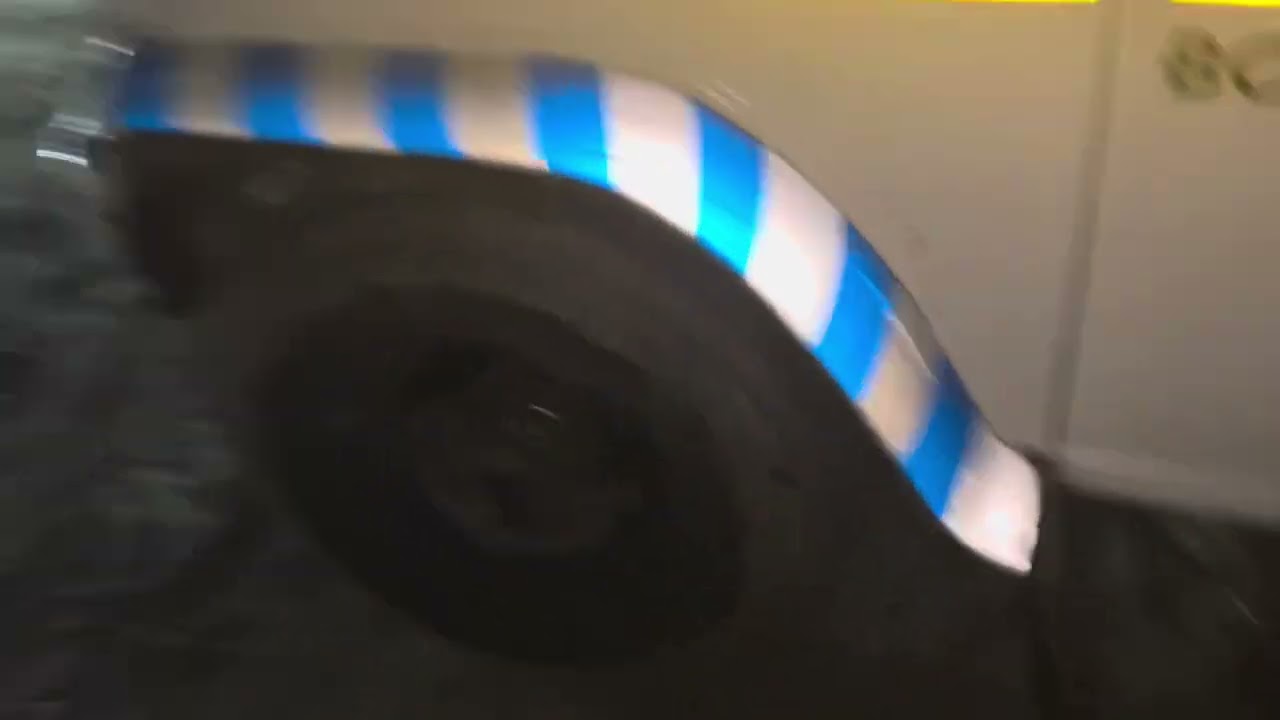 Gayo ko dekho kaisi hain ye 