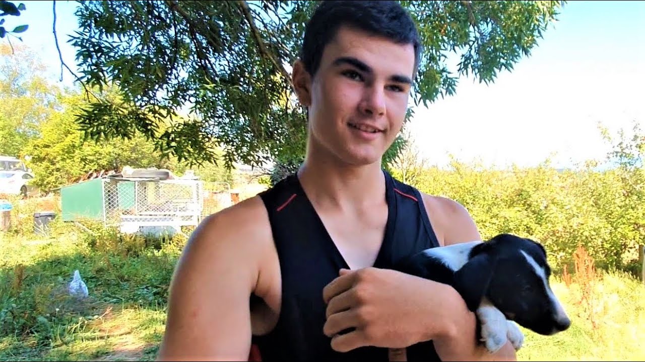 Gifting Puppies to my Supporters~Clay Tall Stories