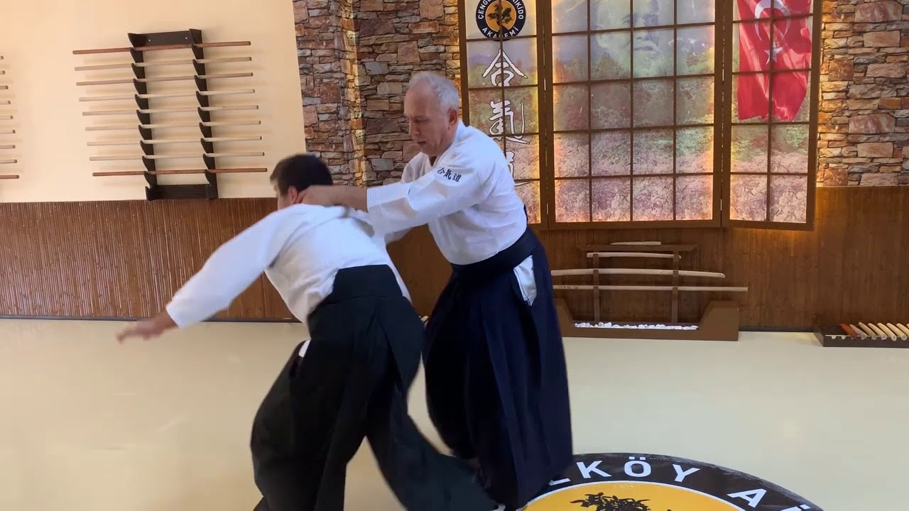 Shomenuchi Uchi Kaiten İriminage | Yetişkin Aikido | Gen&ccedil; Aikido |