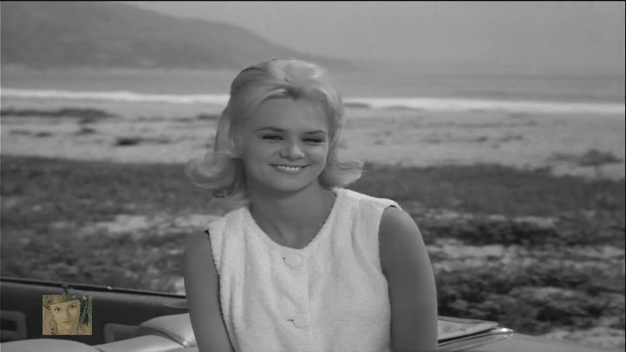 Surf Party (1964)