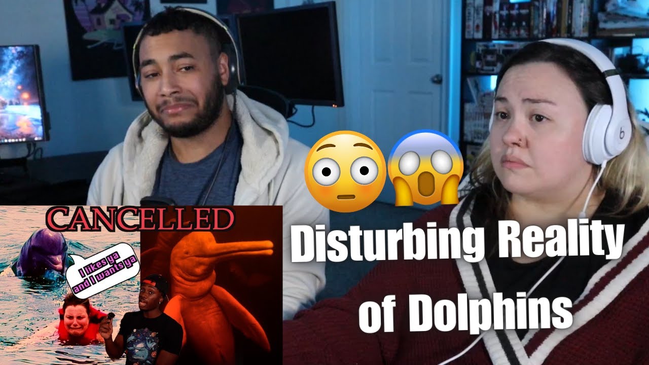OtakuCouple реагирует на действительно тревожную реальность дельфинов от Casual Geographic