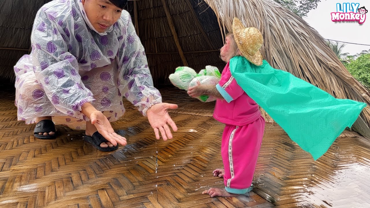 How touching! Lily’s sweet act for Dad when it suddenly rained | Lily's story