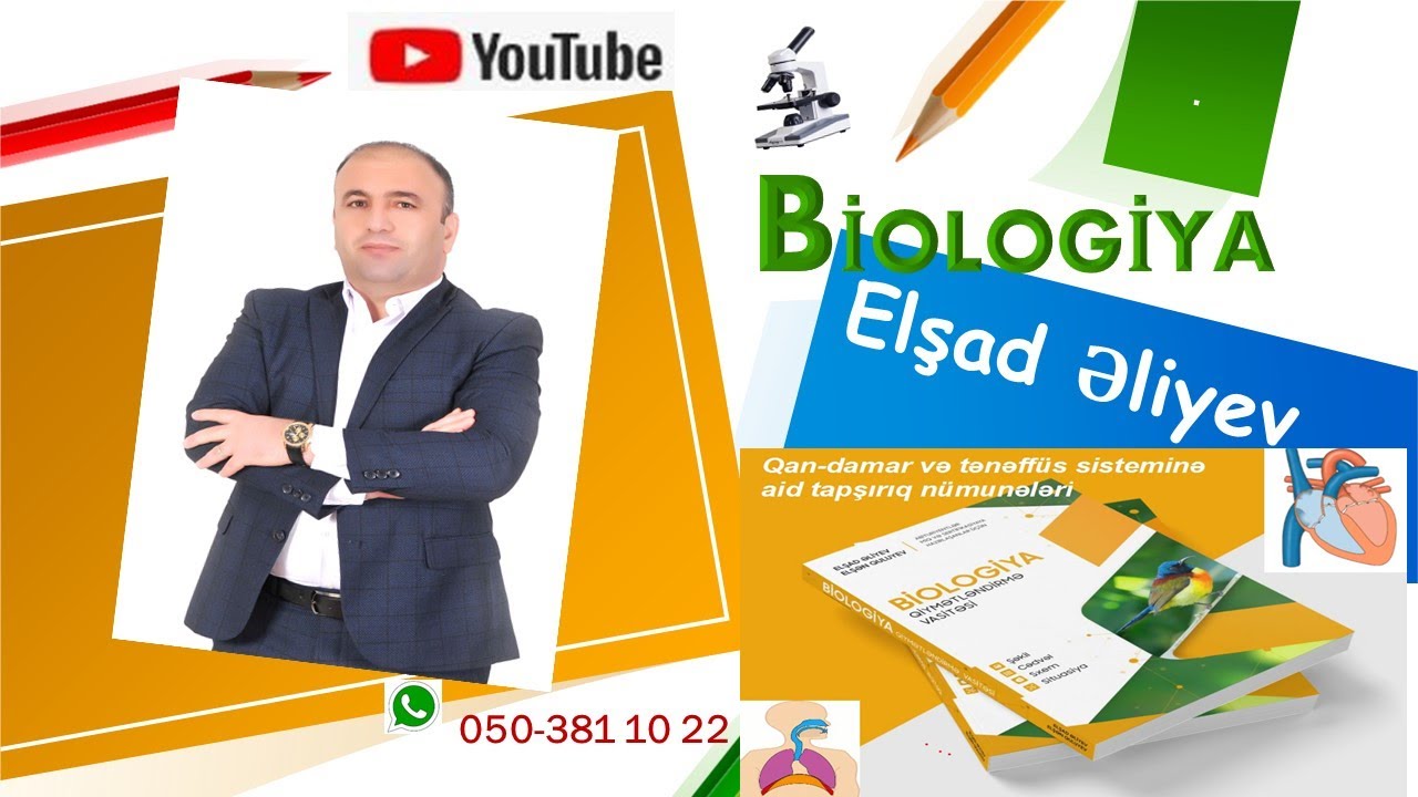 Qan-damar  və tənəffüs sistemi( Biologiya Qiymətləndirmə Vasitəsi-bəzi tapşırıqların izahı)