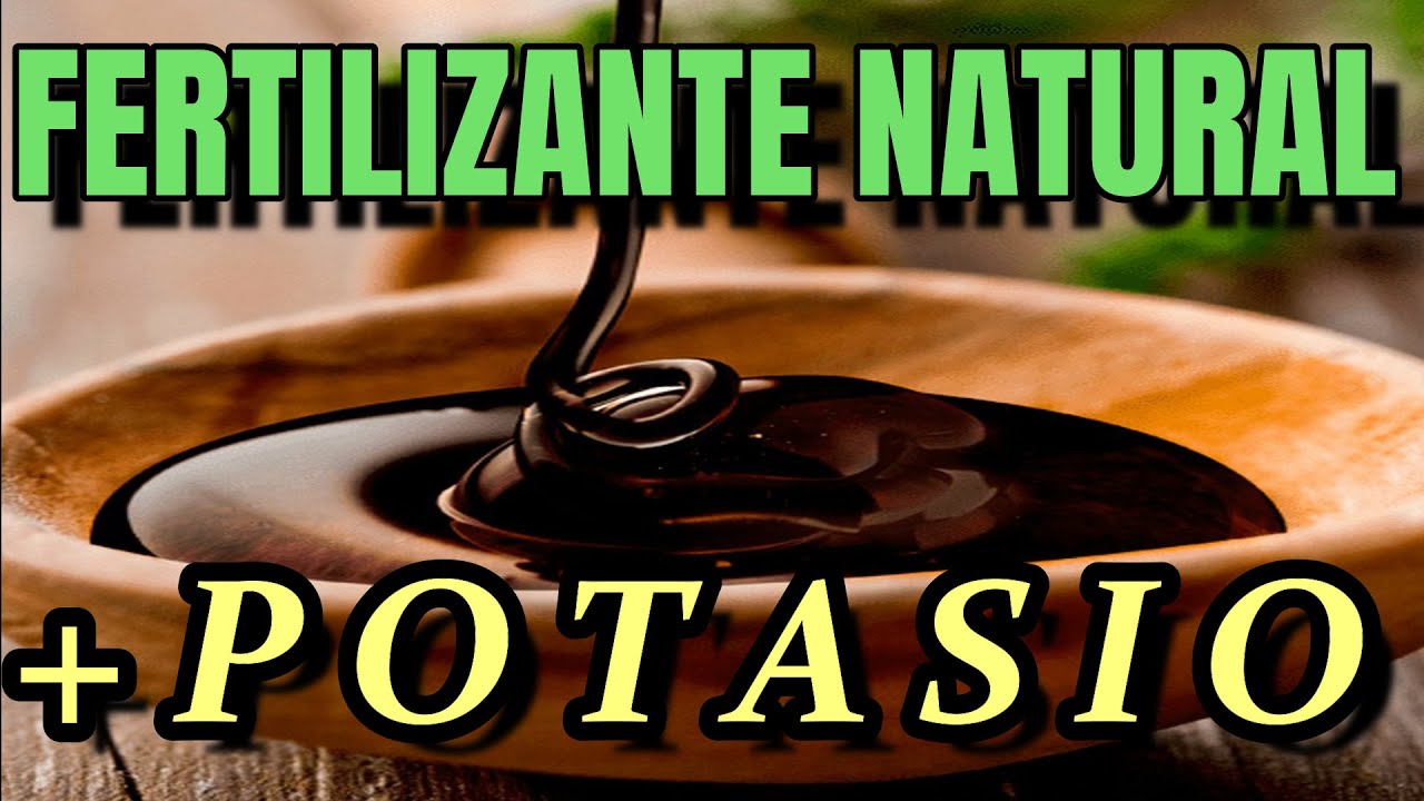 Abono Orgánico de Melaza de CAÑA! | SUPER Fertilizante Casero para FLORACIÓN!