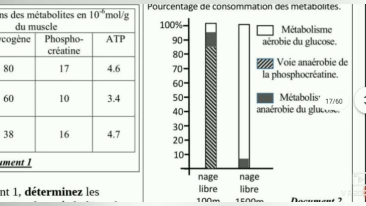 Examen national, rattrappage pc2017 Consommation de la matière organique, contraction musculaire