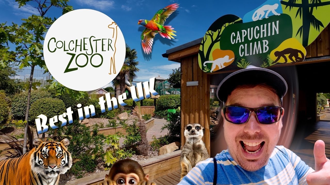 Colchester Zoo 2025 Vlog - Best Zoo in the UK?
