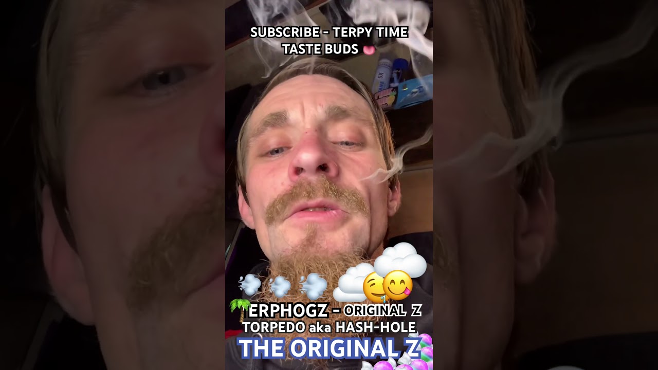 TERPY TIME TASTE BUDS - TERPHOGZ- ORIGINAL Z - TORPEDO - AKA - HASH HOLE @terphogzofficial