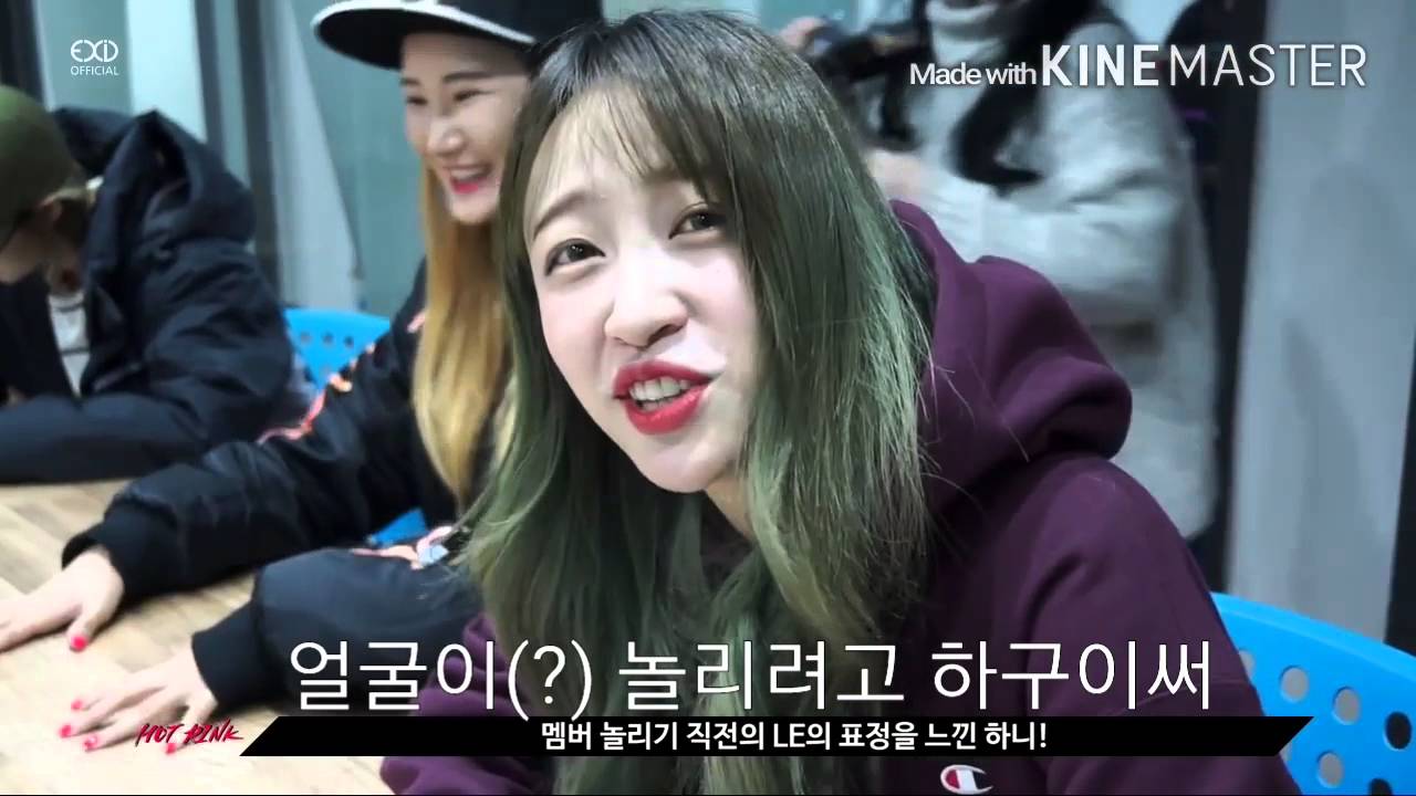 Exid 안자매 영상모음 (하니&LE)