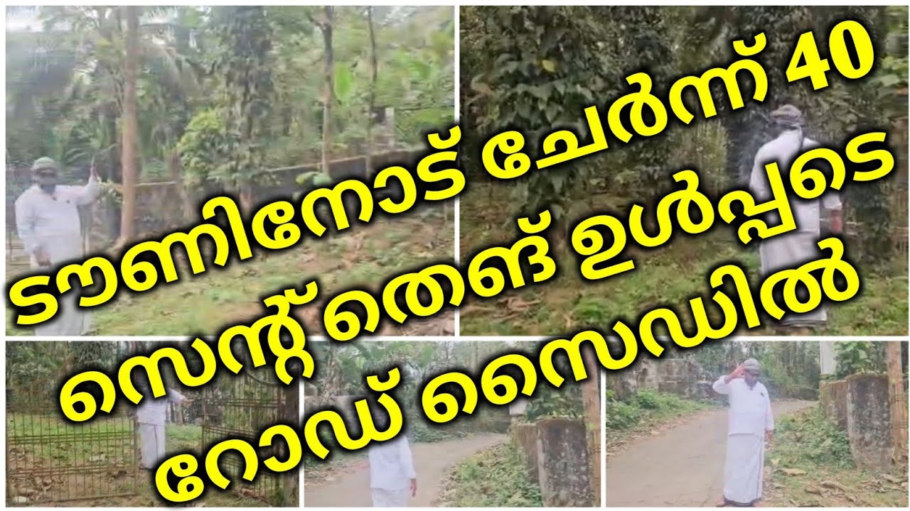 ടൗണിനോട് ചേർന്ന് 40 സെന്റ് തെങ് ഉൾപ്പടെ റോഡ് സൈഡിൽ | plotes for sale |