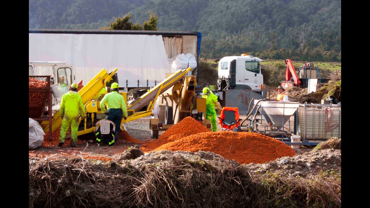 NZ Rivers -  The Fight to Keep them 1080 Poison-free