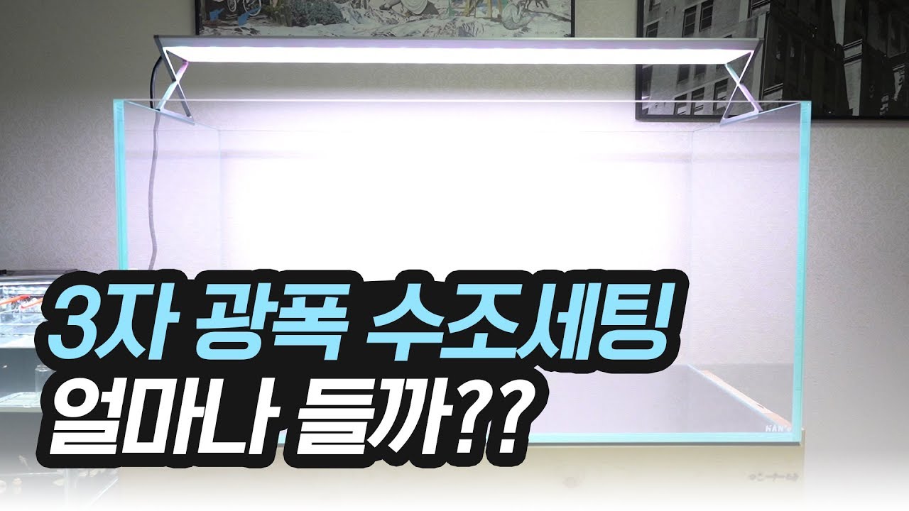 3자 광폭 수조 세팅비 얼마나 들까?