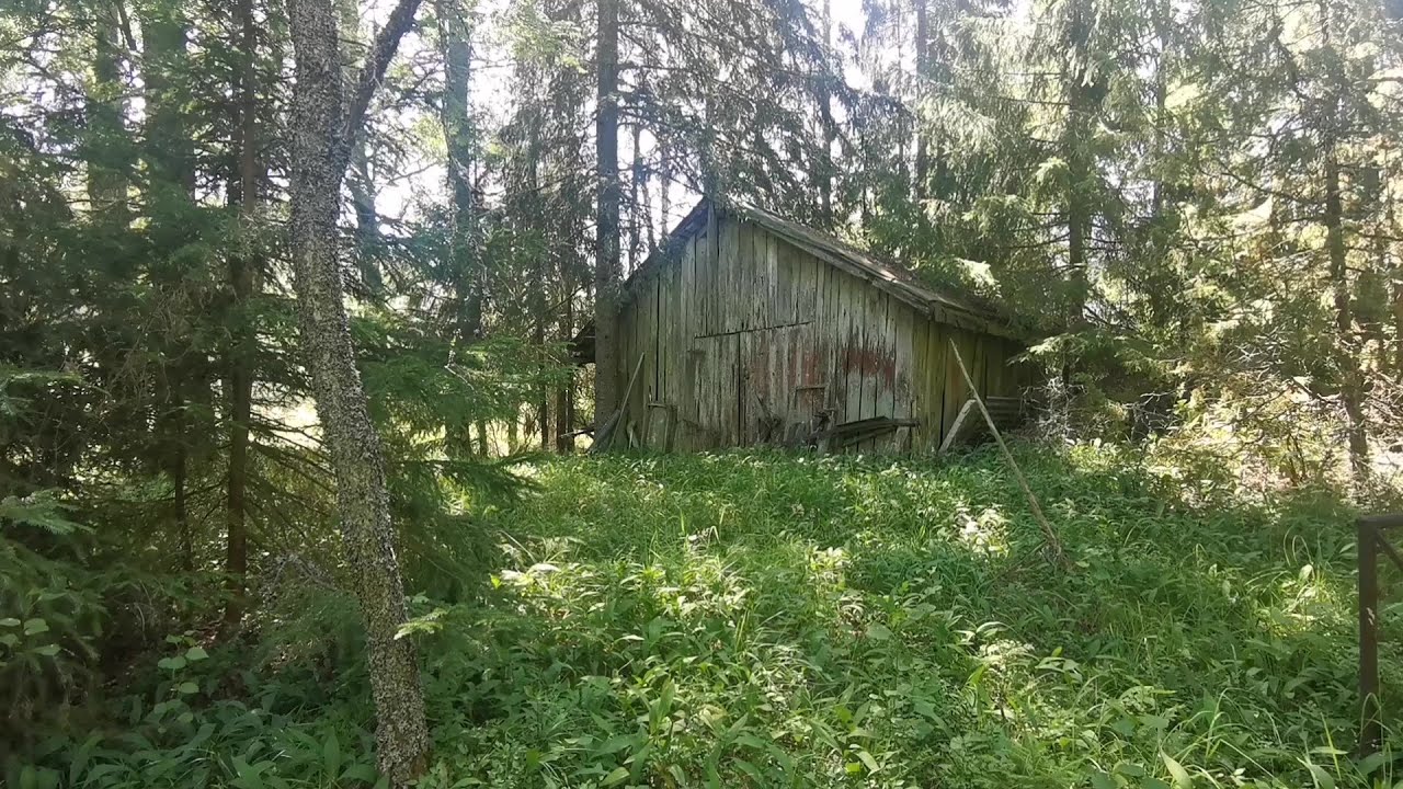 Abandoned house Autio maatila