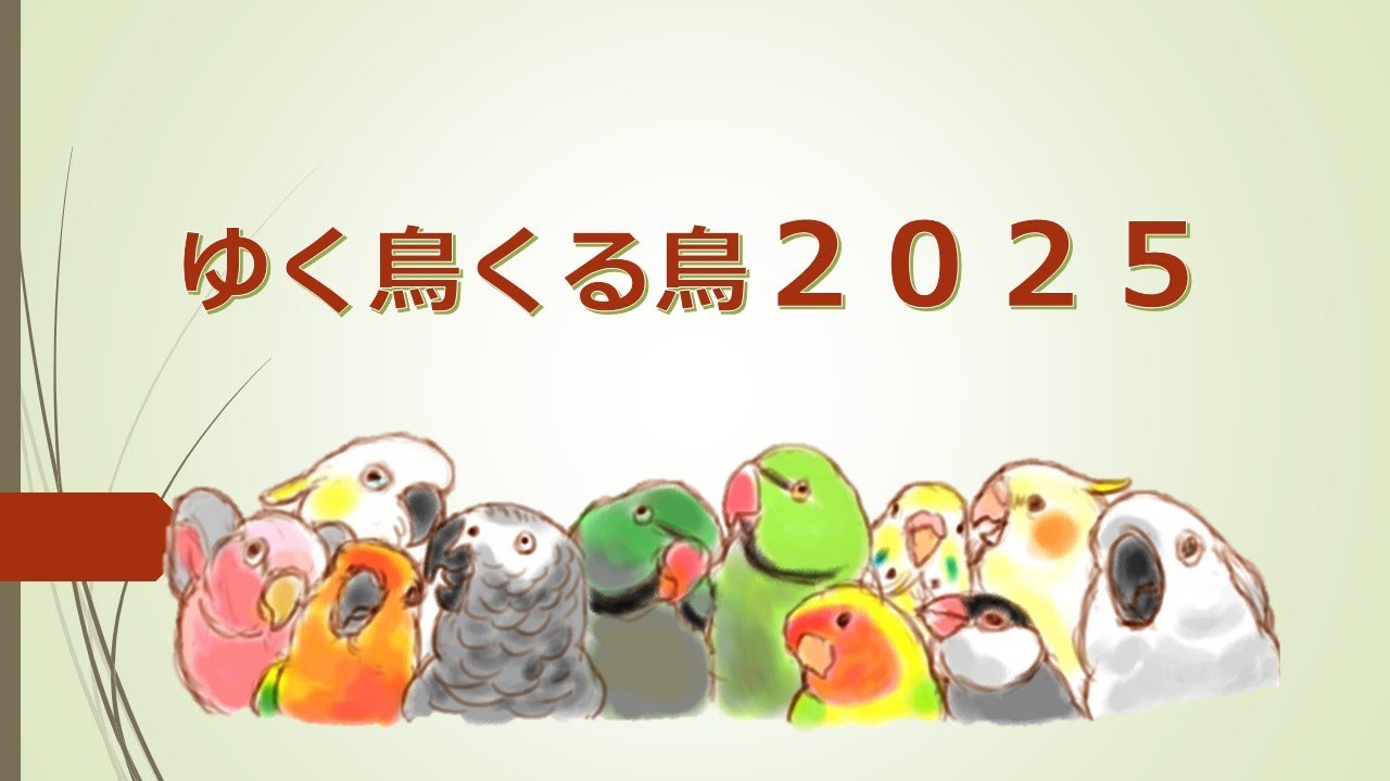 ゆく鳥くる鳥2025