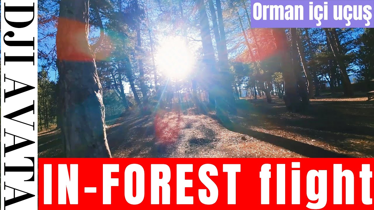 DJI Avata In-Forest