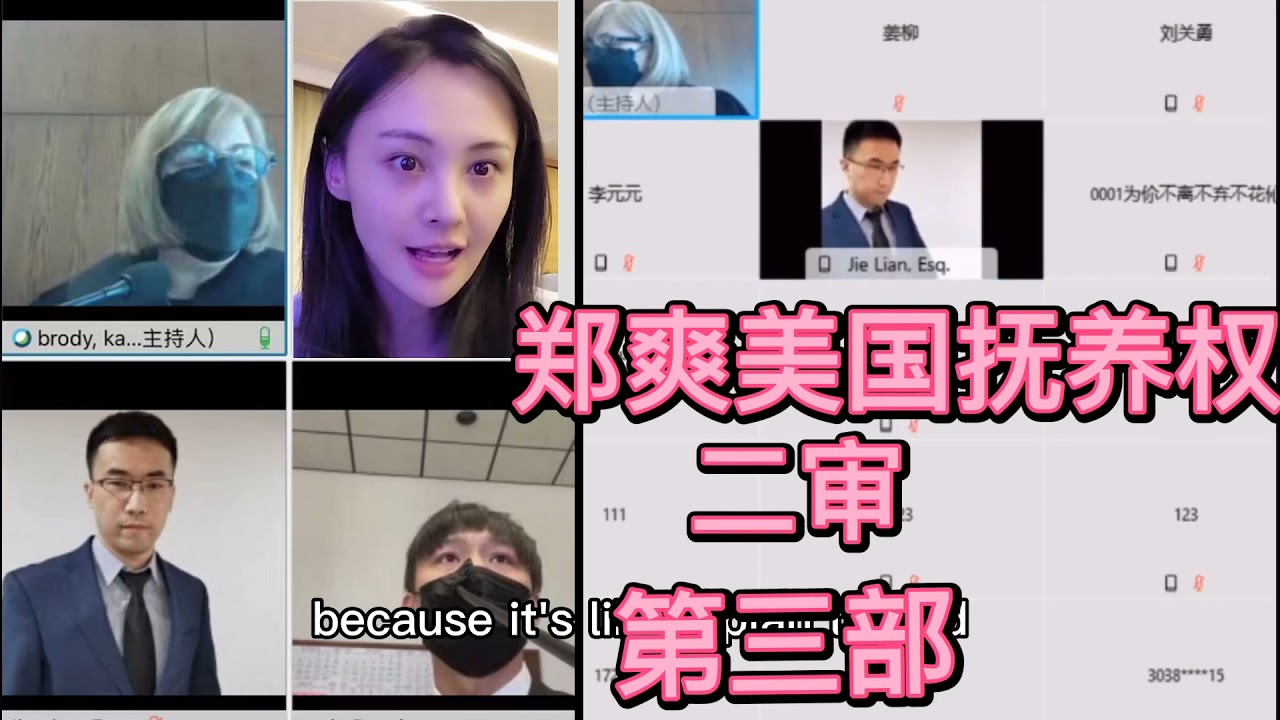 郑爽美国抚养权二审庭审视频（第三部）Zheng Shuang's U.S. Custody Case Trial Video