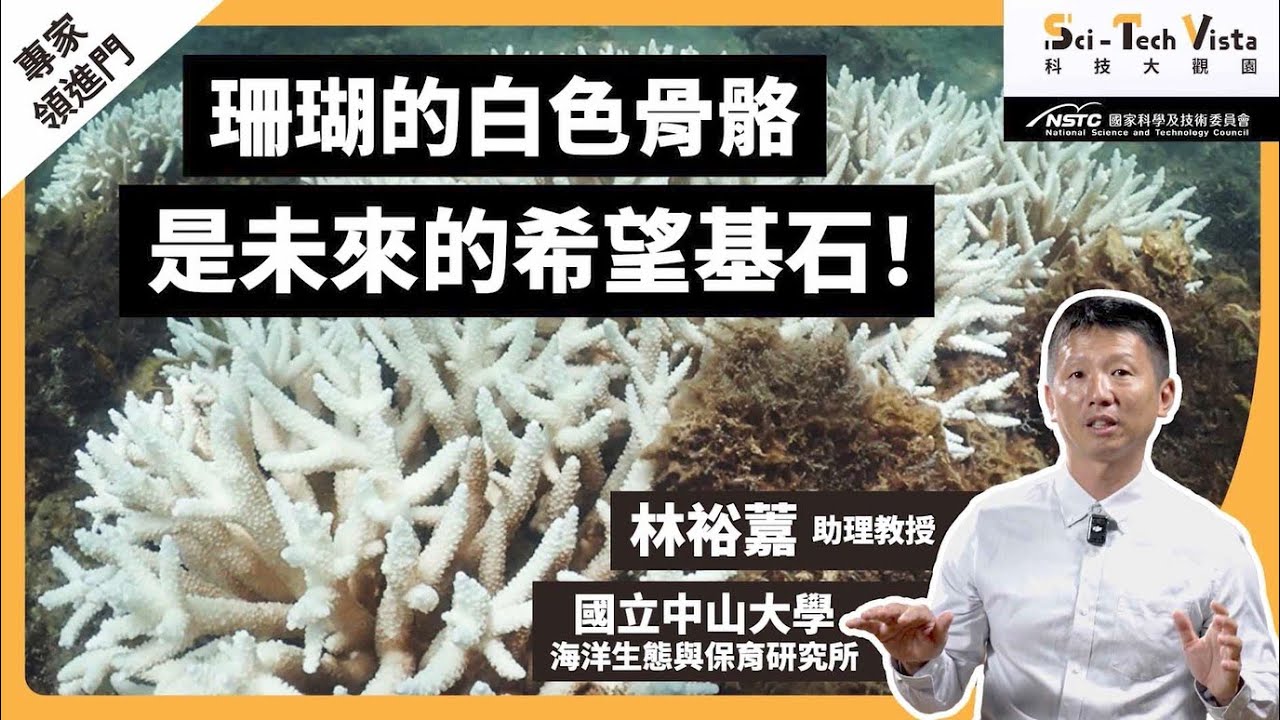 【專家領進門】珊瑚的白色骨骼是未來的希望基石！