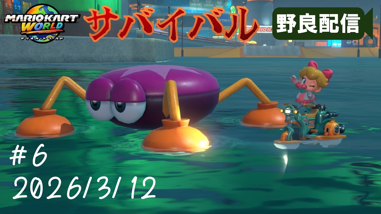 サバイバル Part 6「ぽこ あ マリオカート」【マリオカートワールド】