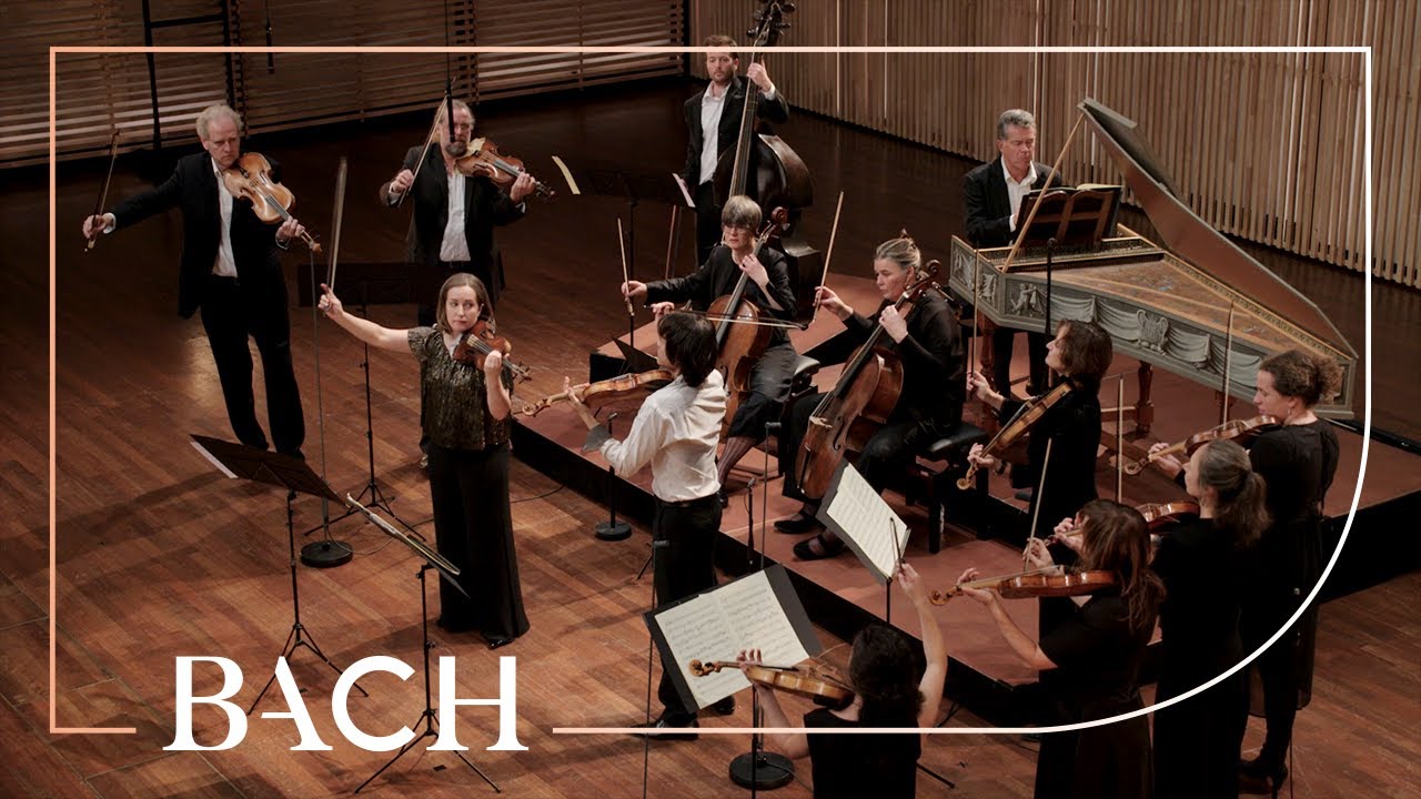 Bach - Vivace from Concerto for two violins BWV 1043 | Netherlands Bach Society