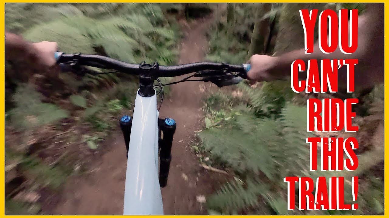 Why is Rotorua's Best MTB Trail&hellip; Illegal?