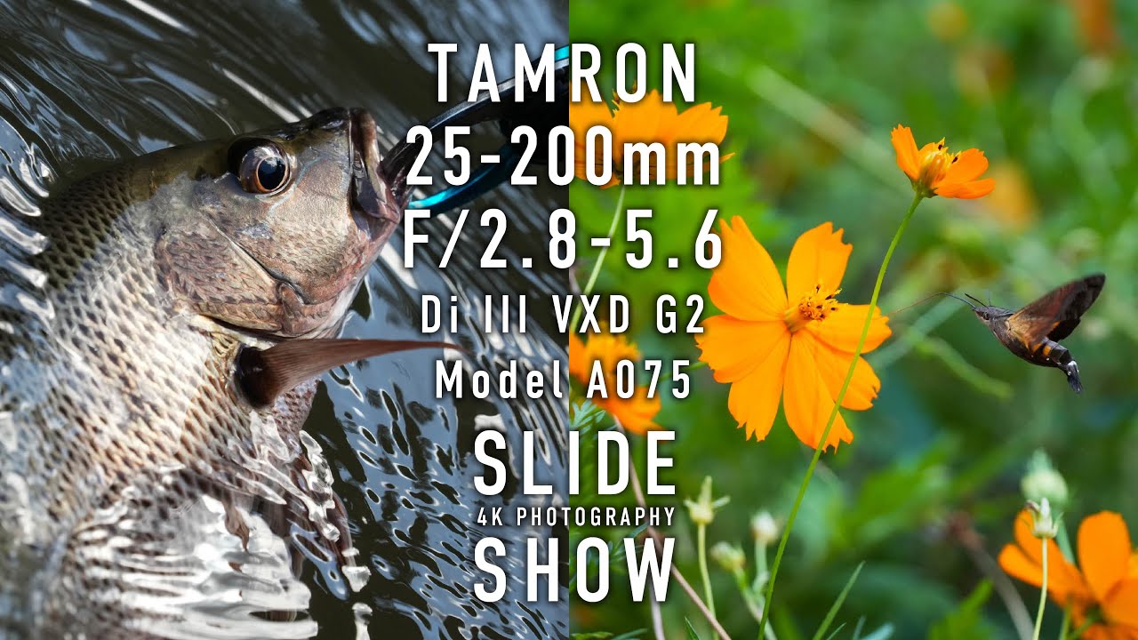 【 4K SLIDESHOW】TAMRON 25-200mm F/2.8-5.6 Di III VXD G2 (Model A075)