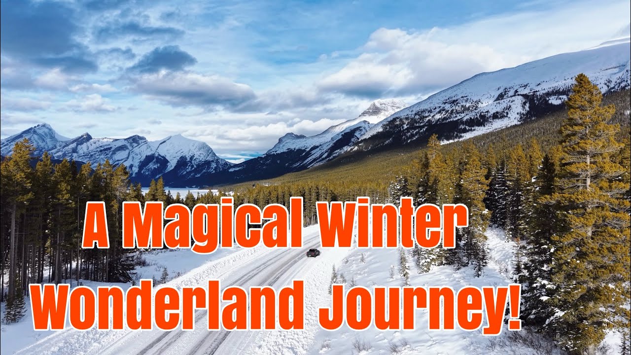 A Magical Winter Wonderland Journey!