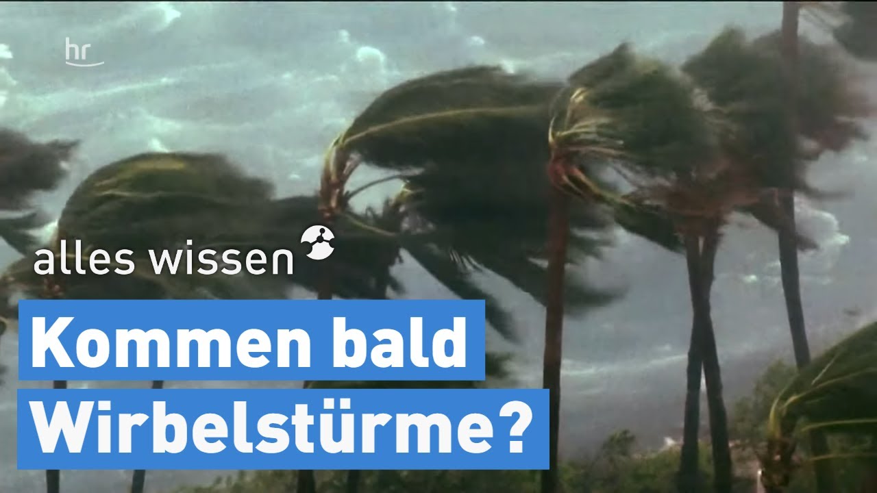Die Folgen der Meereserwärmung | alles wissen