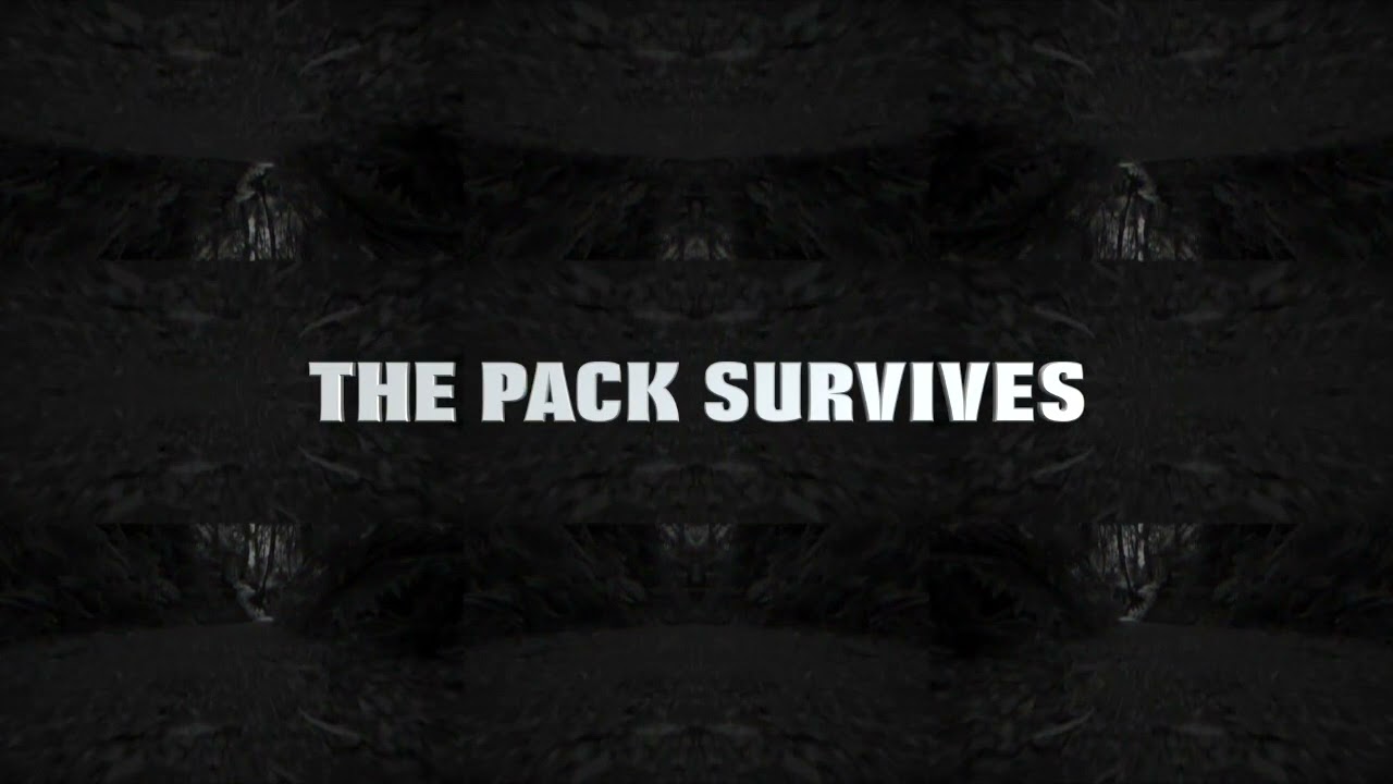 APHE   The Pack Survives (Original Mix)
