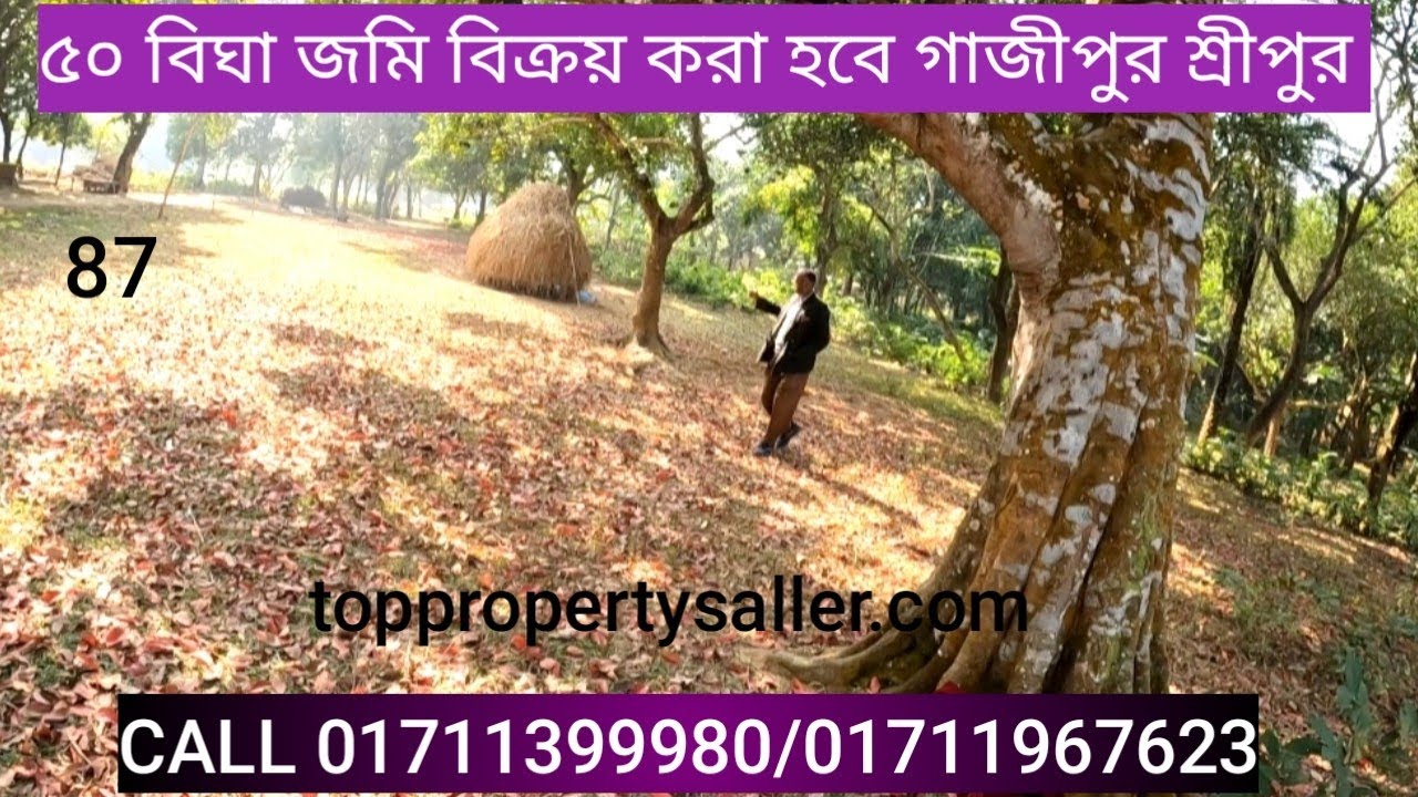 Land for sale | house sale | jomi Bikroy | জমি বিক্রয় | ৫০ বিঘা জমি বিক্রয় করা হবে | গাজীপুর শ্রীপুর