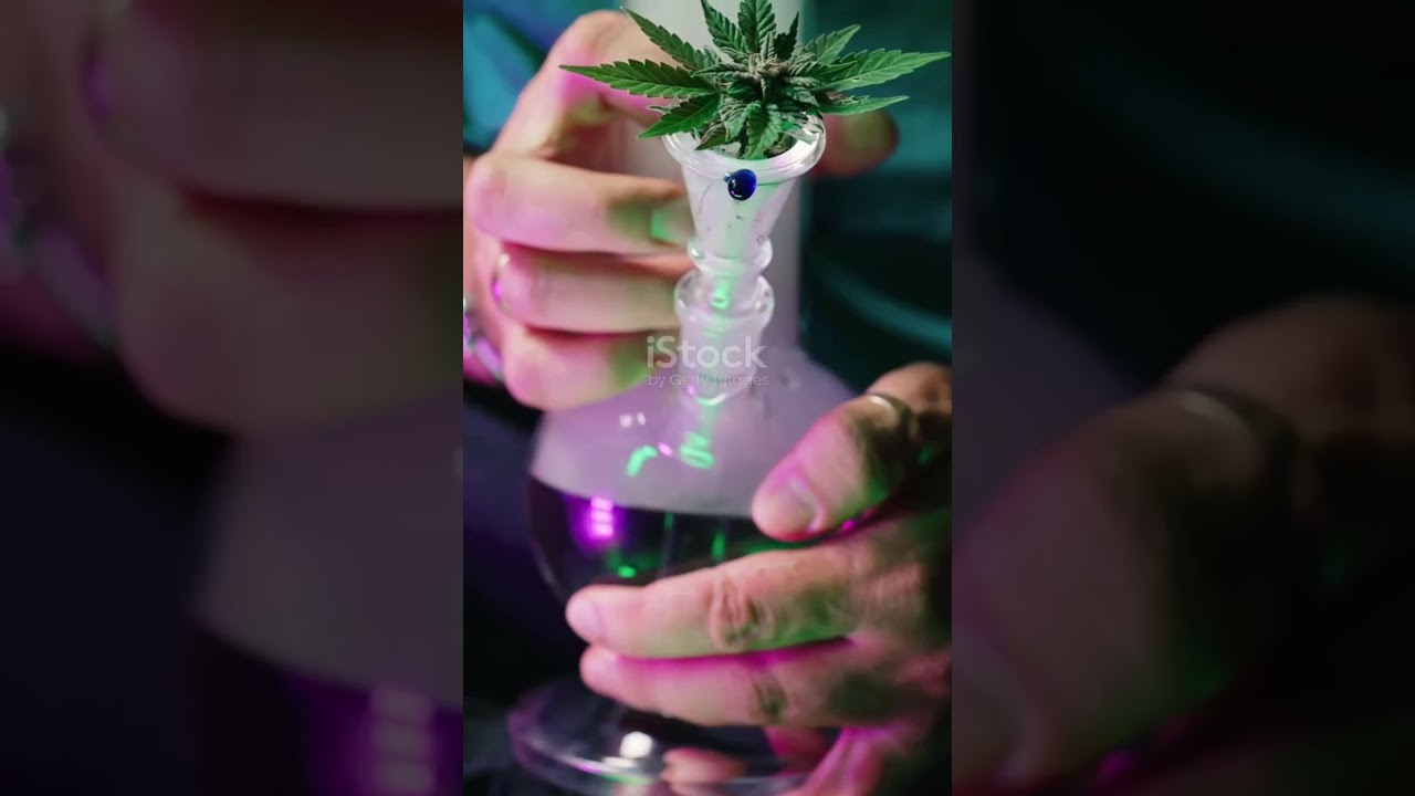 Top 10 Cannabis Facts You Didn't Know! #cannabisfacts#420#highvibes#cannabiscommunity