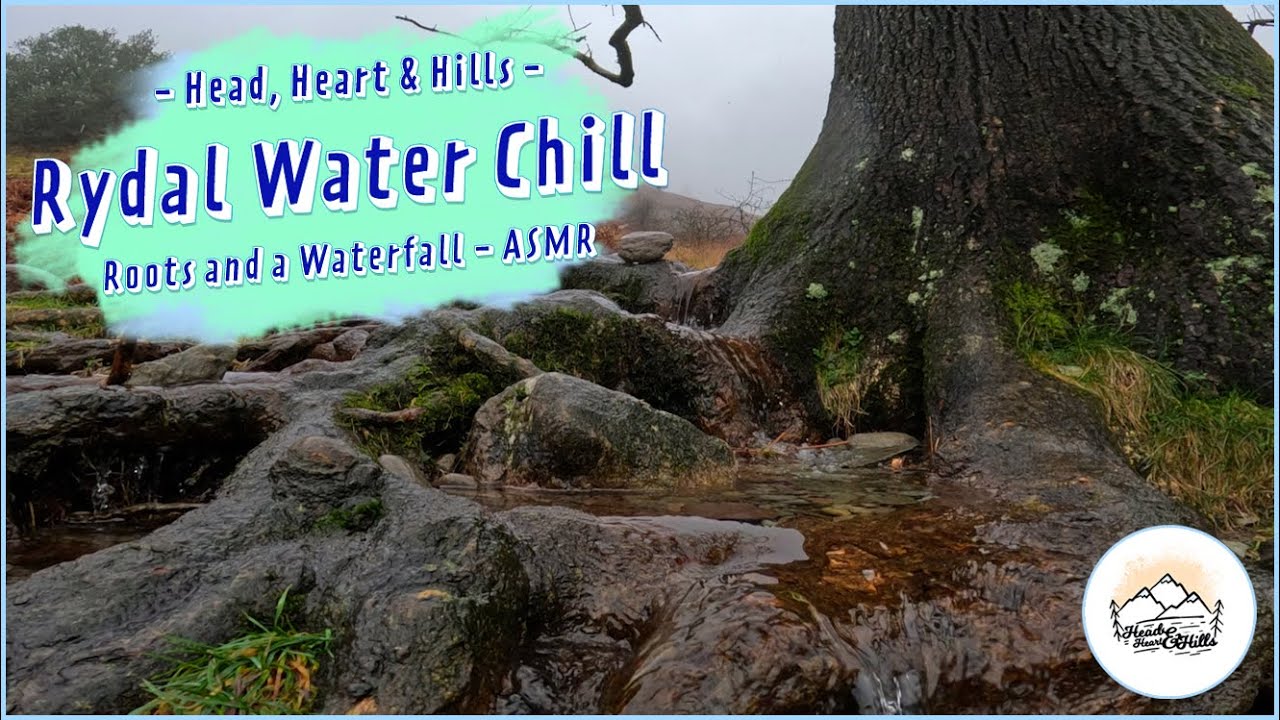 Rydal Water Chill - Roots and a Waterfall - ASMR