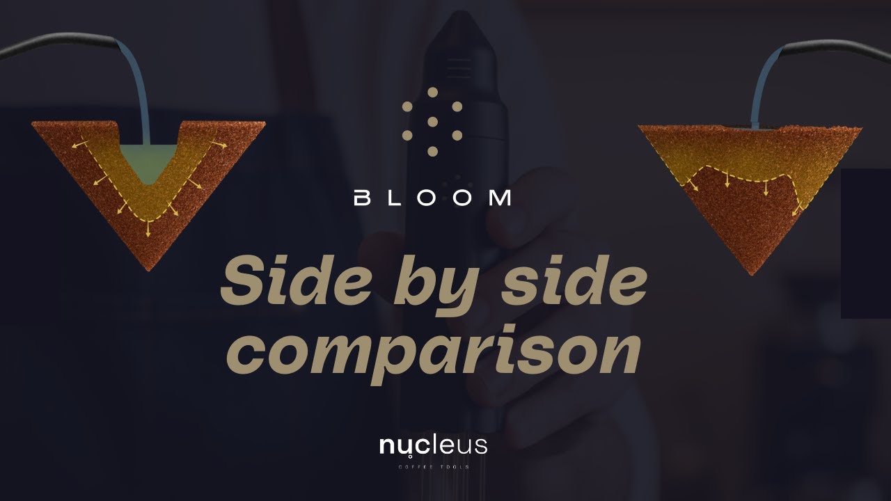 Bloom – Side by side comparison