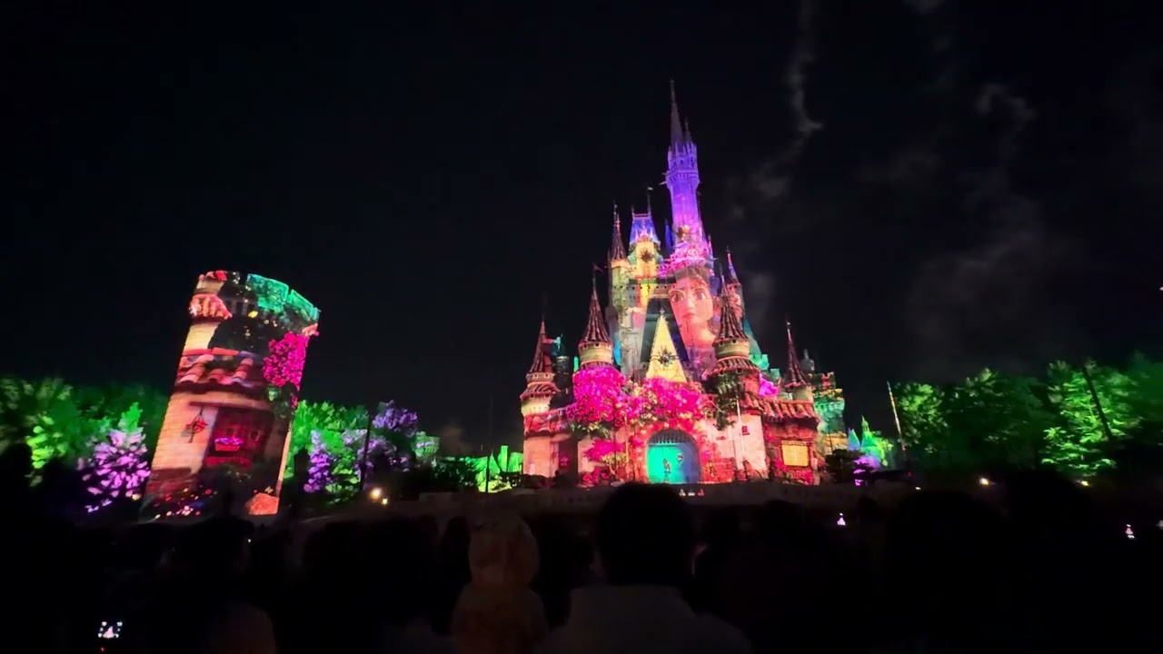 Reach for the Stars@Tokyo Disneyland 2025.10.17 プリマハム貸切