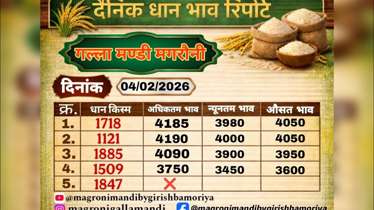 धान 🌾 का भाव (1509 , 1718 ,1121 ,1885) Magroni Mandi by Girish Bamoriya 04/02/2026