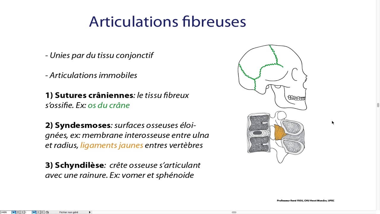 18_Articulations fibreuses