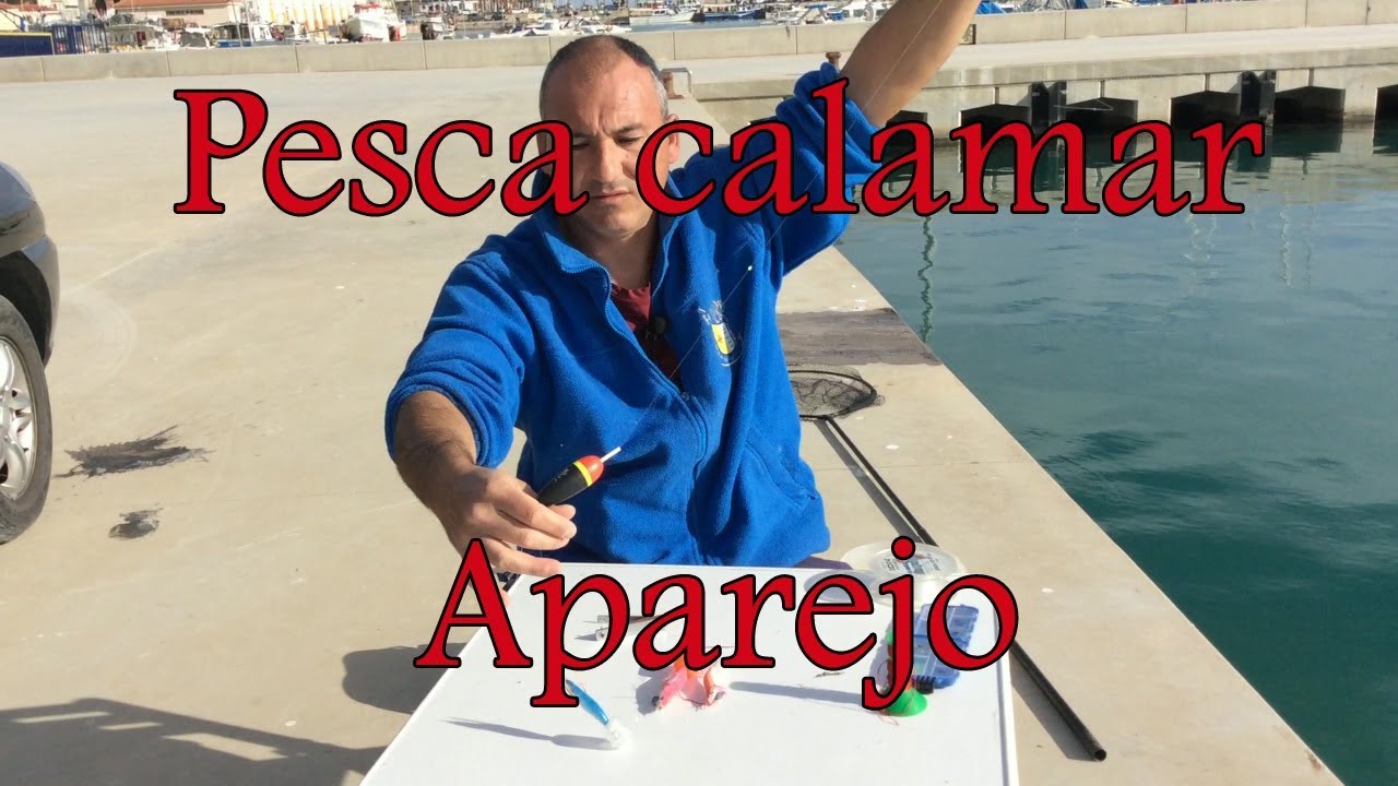 Como pescar calamares,  varios aparejos para  pescar calamar de manera muy eficaz.