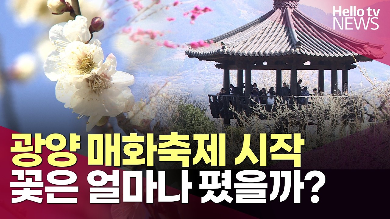 섬진강 따라 흐드러지게 핀 매화…광양매화축제 시작ㅣ#헬로tv뉴스