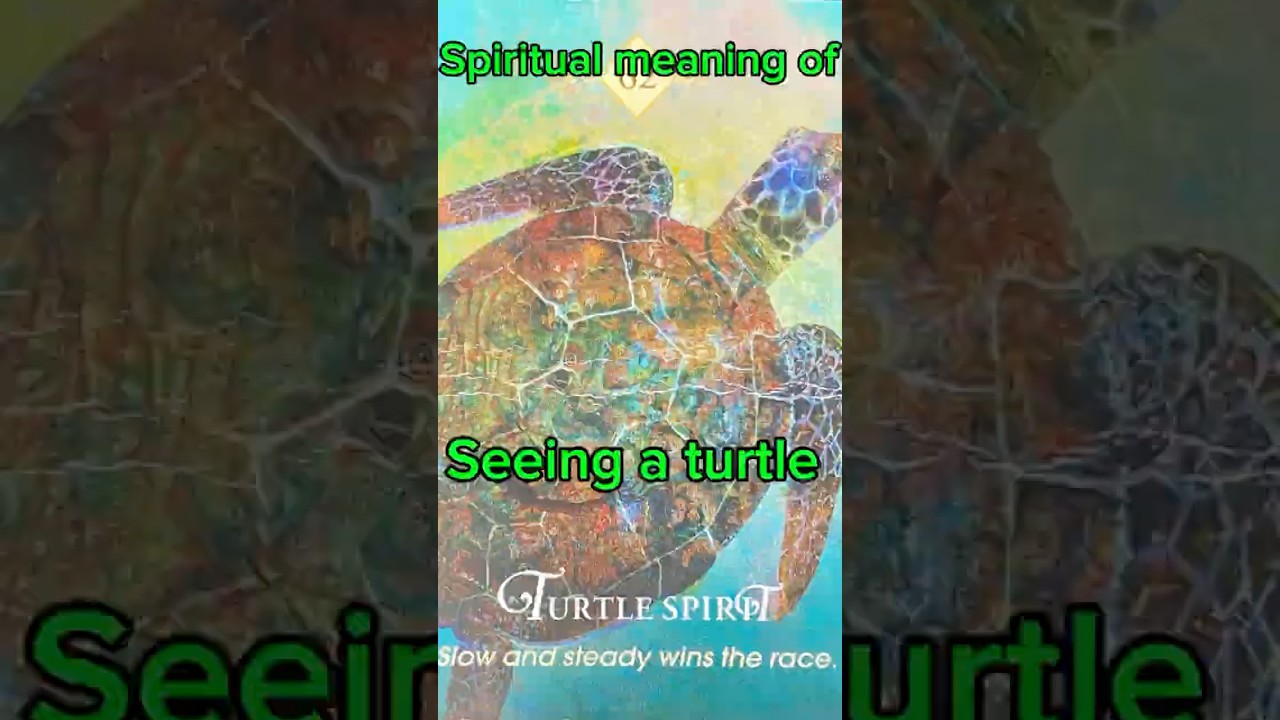 A Sacred Visit: The Spiritual Meaning of a Gopher Tortoise in My Yard 🐢