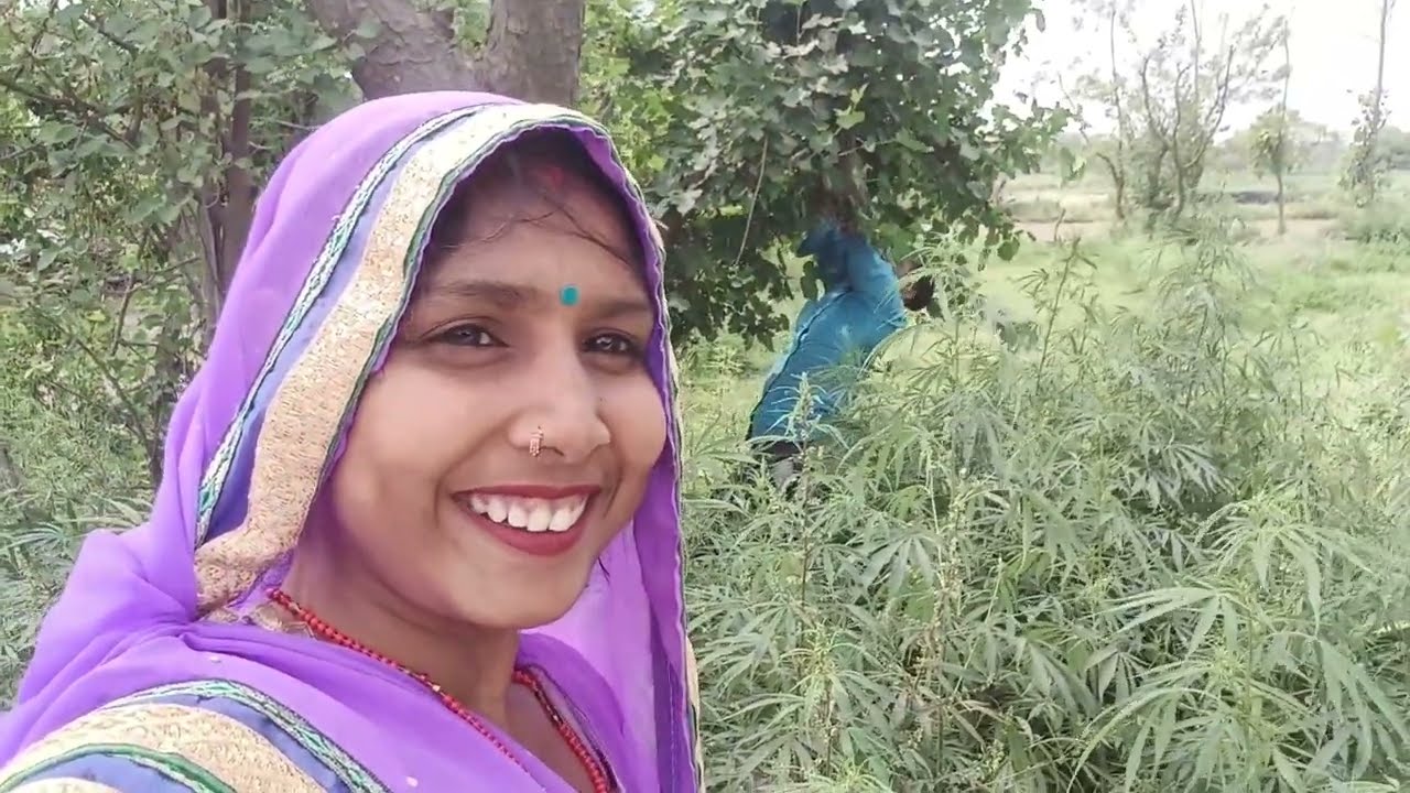 मैं शहतूत का रही हूं#youtube #video #dailyvideoblog #@RoshniShakya156 🥰🥰🥰🥰🥰🥰🥰🥰🥰🥰